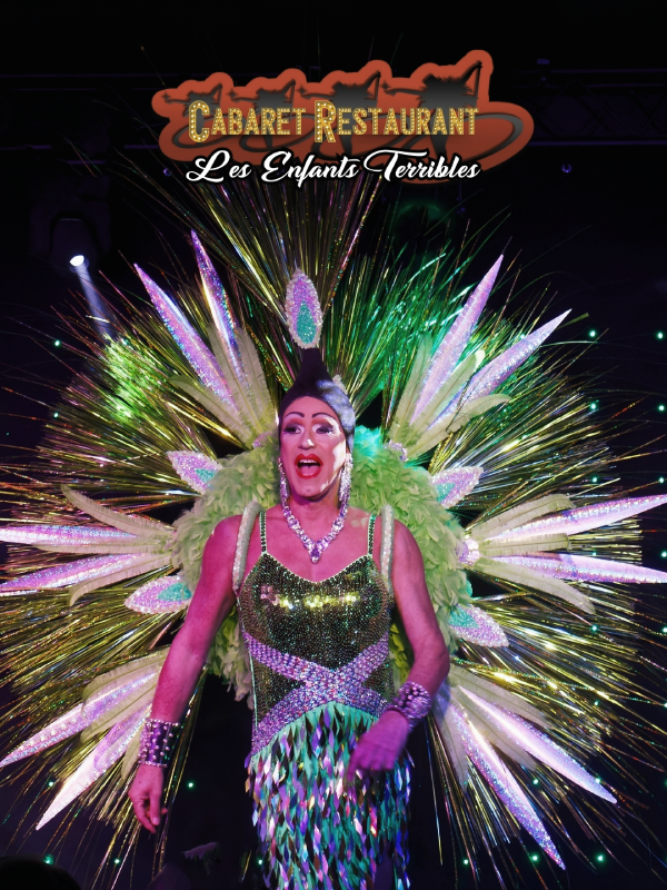 Costume plumes rouges spectacle transformiste